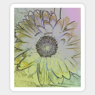 Gerbera Sticker